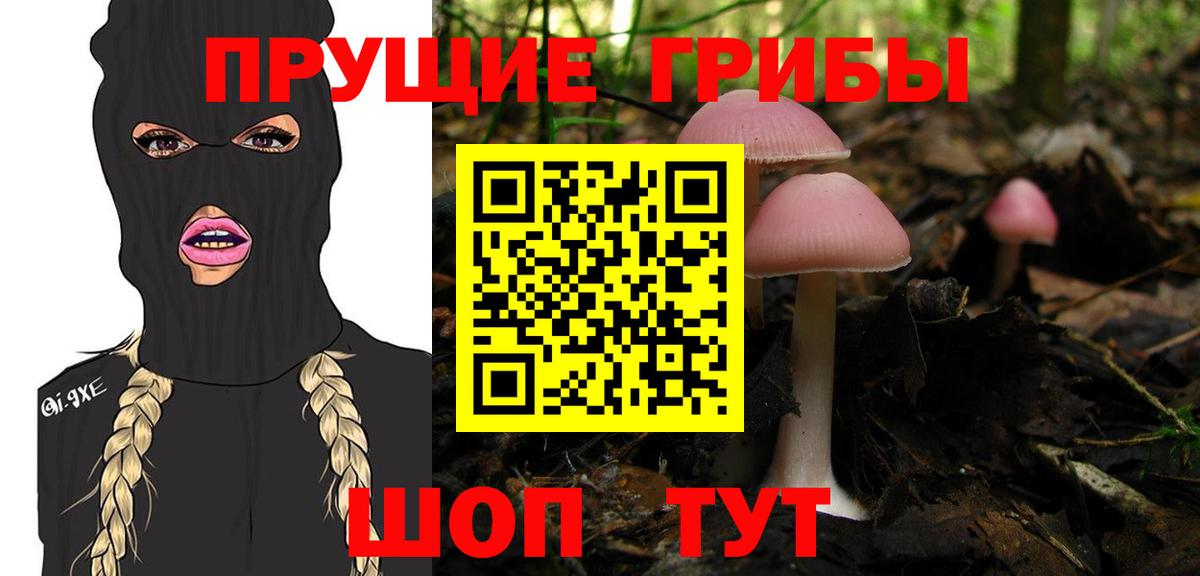 даркнет сайт  Галлюциногенные грибы Magic Shrooms  Вход с VPN  Заводоуковск 